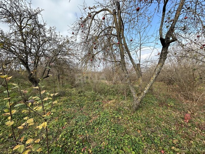 Продаётся  участок 15 сот, photo 4 from 6
