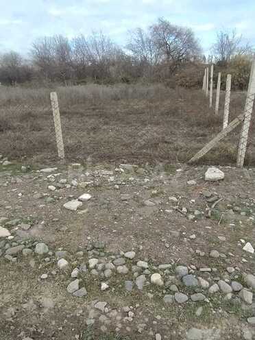 Satılır  torpaq 20 sot, Quzanlı qəs. q., photo 5 from 6