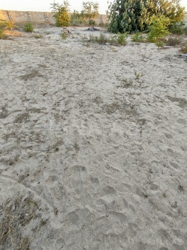 Satılır  torpaq 3 sot, Sea Breeze q., photo 4 from 7