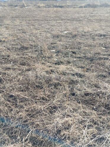 Продаётся  участок 26 сот, Кедабек р., photo 15 from 18