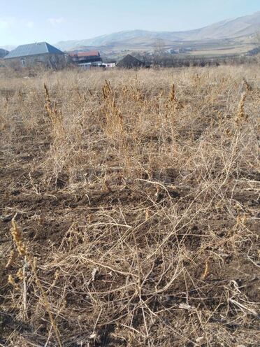 Продаётся  участок 26 сот, Кедабек р., photo 3 from 18