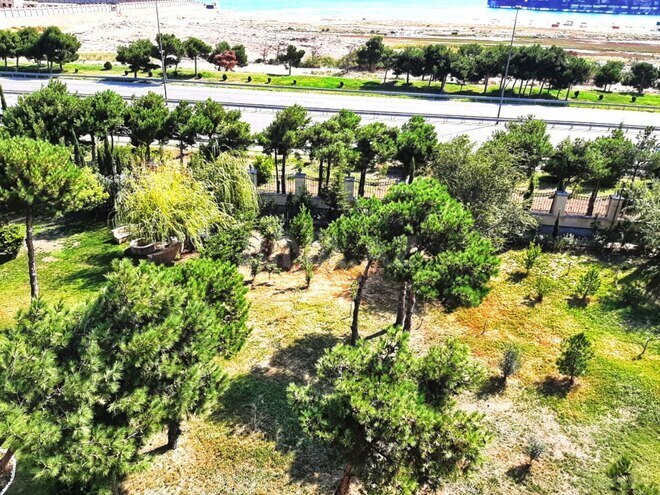 İcarəyə verilir 10 otaqlı həyət evi/bağ evi 500 m², Şıxov q., photo 7 from 25