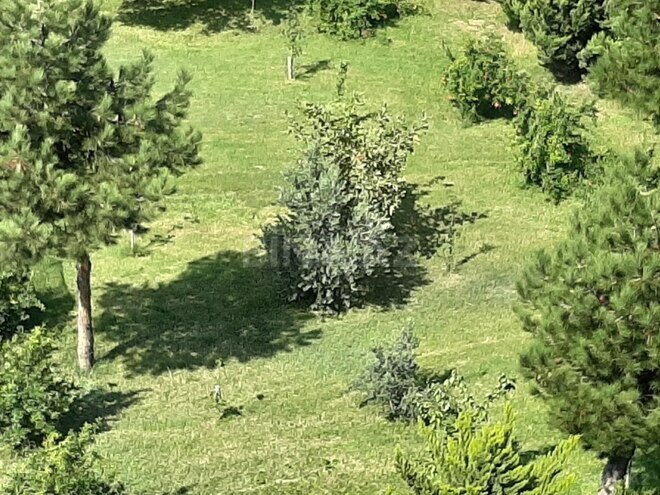 İcarəyə verilir 10 otaqlı həyət evi/bağ evi 500 m², Şıxov q., photo 6 from 25