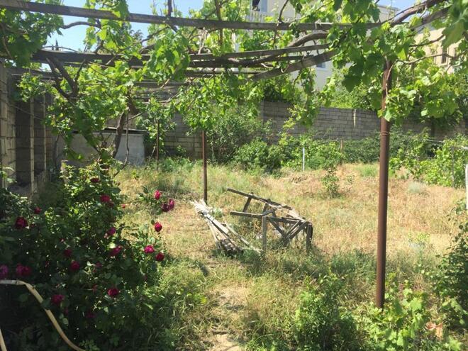 Продаётся  участок 6 сот, м. Гянджлик, photo 3 from 7