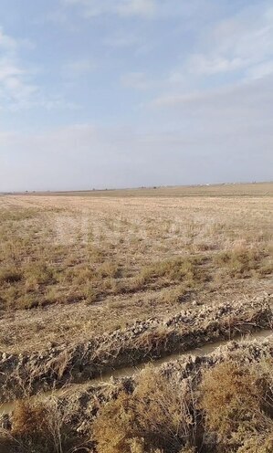 Satılır  torpaq 3 300 sot, photo 3 from 4