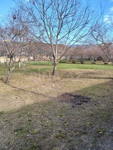 Satılır  torpaq 14 sot, photo 12 from 18