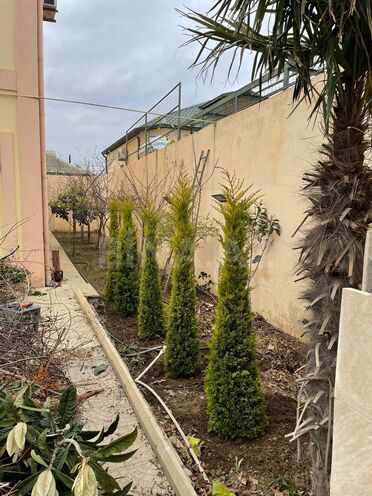 Satılır 7 otaqlı həyət evi/bağ evi 450 m², Xocəsən m., photo 4 from 30