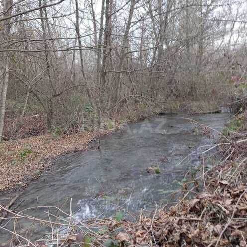 Satılır  torpaq 259 sot, photo 5 from 10