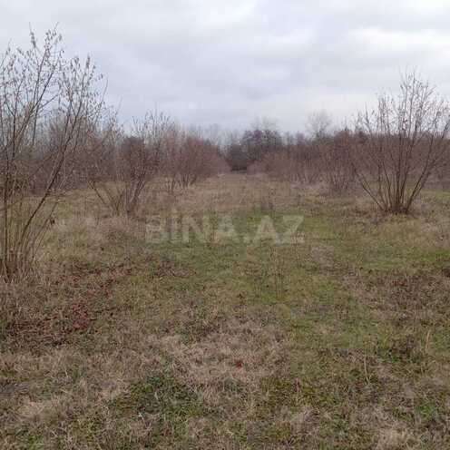 Satılır  torpaq 259 sot, photo 4 from 10