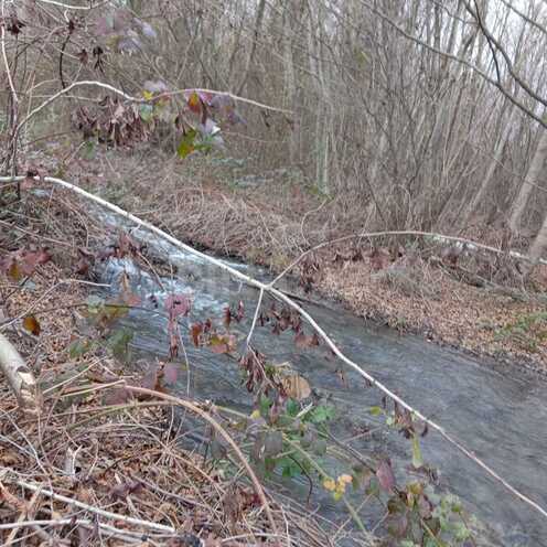 Satılır  torpaq 259 sot, photo 6 from 10