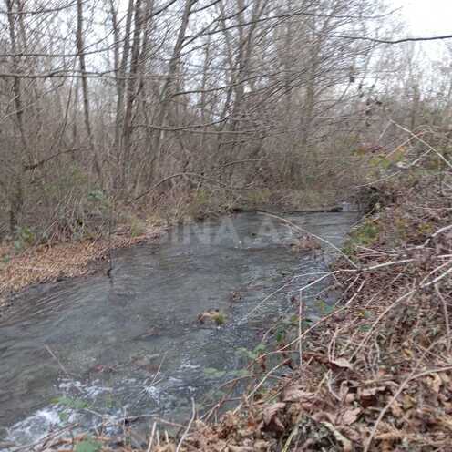 Satılır  torpaq 259 sot, photo 7 from 10