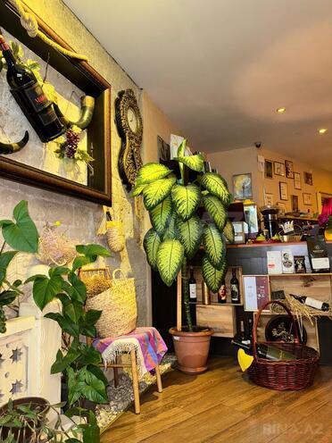 İcarəyə verilir  obyekt 290 m², İçəri Şəhər m., photo 12 from 26