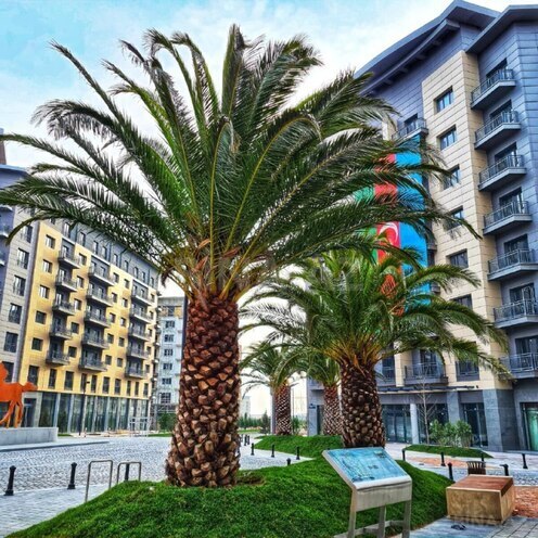 Продаётся 3-комн. новостройка 150 м², пос. Аг шехер, photo 1 from 8