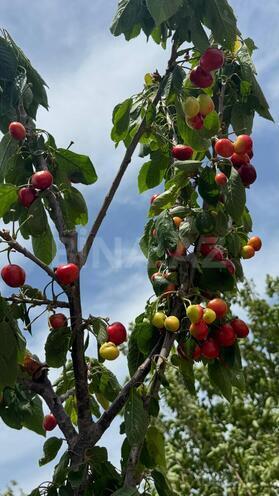 Продаётся 6-комн. дом/дача 192 м², пос. Джейранбатан, photo 6 from 30