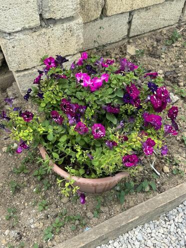 Продаётся 6-комн. дом/дача 192 м², пос. Джейранбатан, photo 5 from 30