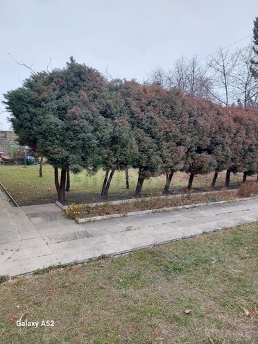 Satılır 10 otaqlı həyət evi/bağ evi 600 m², photo 17 from 32