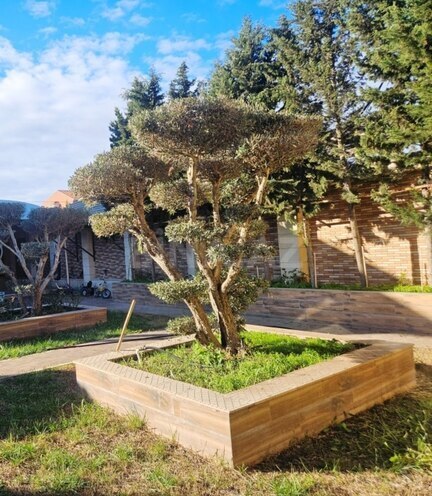 Satılır 5 otaqlı həyət evi/bağ evi 450 m², Şağan q., photo 29 from 31