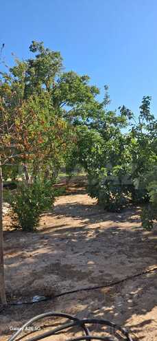 Продаётся 3-комн. дом/дача 50 м², пос. Дюбенди, photo 23 from 27