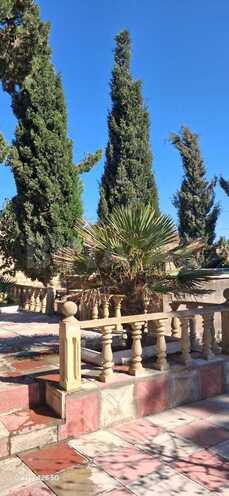 Продаётся 3-комн. дом/дача 50 м², пос. Дюбенди, photo 15 from 27