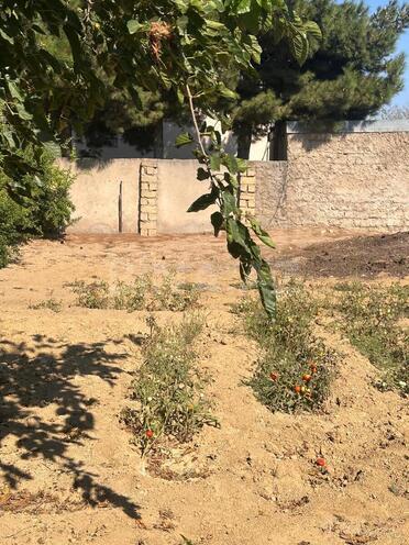 Satılır  torpaq 1.7 sot, Görədil q., photo 7 from 8