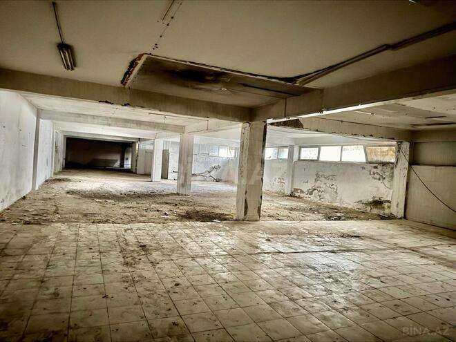 Сдаётся  объект 500 м², м. 8 ноября, photo 4 from 15