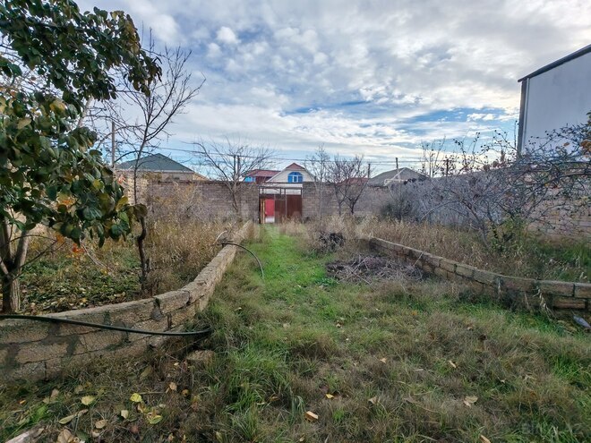 Satılır  torpaq 8 sot, Savalan q., photo 5 from 6