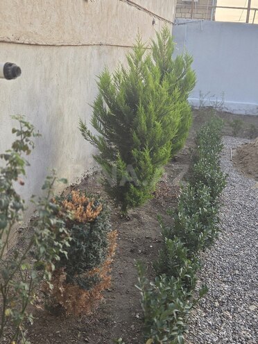 Satılır 8 otaqlı həyət evi/bağ evi 360 m², Avtovağzal m., photo 19 from 22