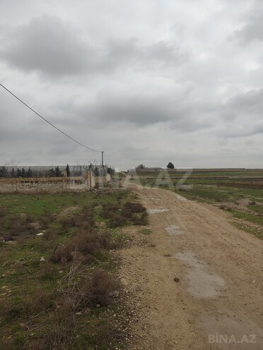 Satılır  torpaq 32 sot, Novxanı q., photo 3 from 12