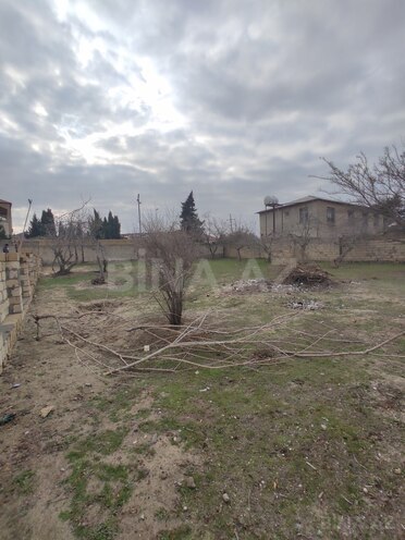 İcarəyə verilir  torpaq 8.7 sot, Novxanı q., photo 9 from 10