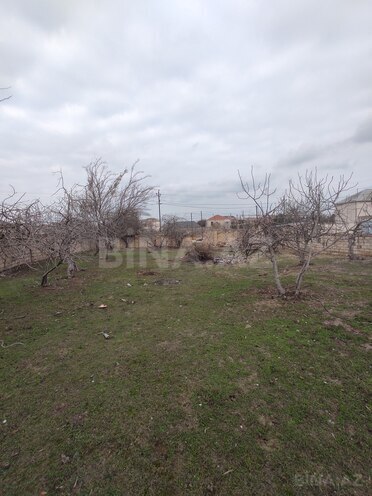 İcarəyə verilir  torpaq 8.7 sot, Novxanı q., photo 6 from 10
