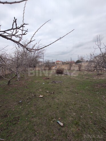 İcarəyə verilir  torpaq 8.7 sot, Novxanı q., photo 5 from 10