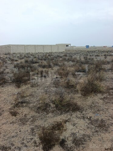 Продаётся  участок 6 сот, пос. Зире, photo 4 from 7