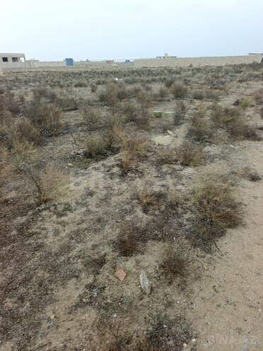 Продаётся  участок 6 сот, пос. Зире, photo 5 from 7