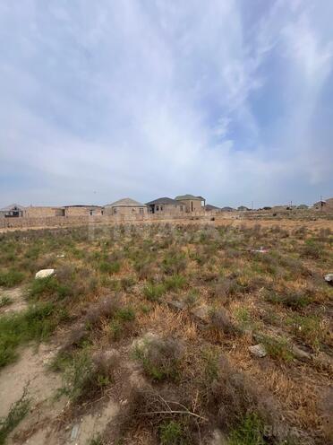 Продаётся  участок 10 сот, пос. Бина, photo 4 from 5