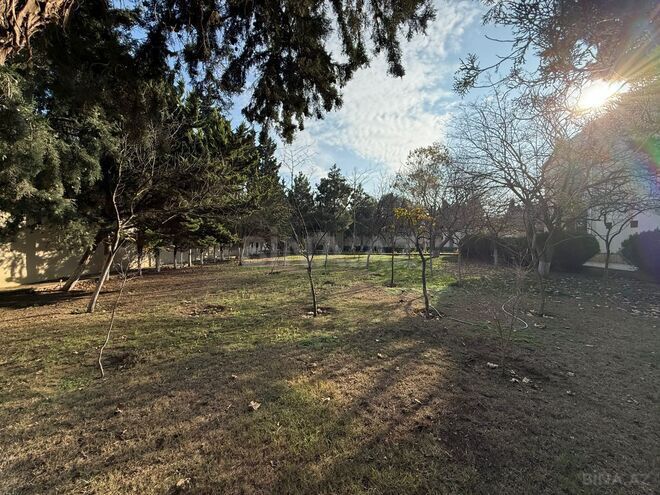 Продаётся  участок 40 сот, пос. Шувеляны, photo 12 from 18