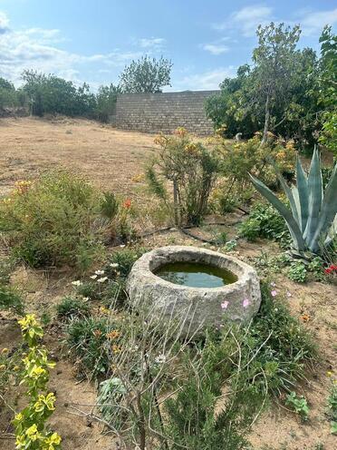 Продаётся  участок 39 сот, пос. Бильгях, photo 9 from 15