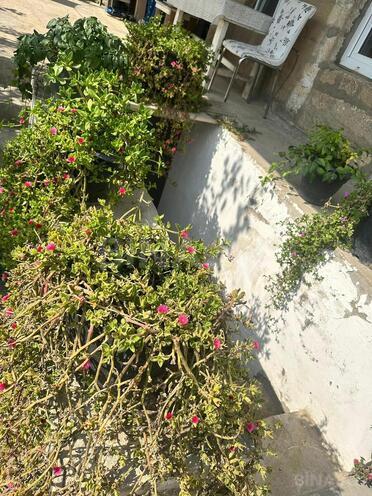 Продаётся  участок 39 сот, пос. Бильгях, photo 11 from 15