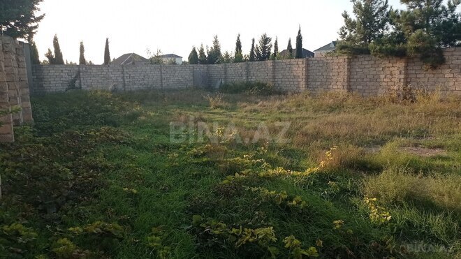 Продаётся  участок 5 сот, пос. Вишнёвка, photo 5 from 8