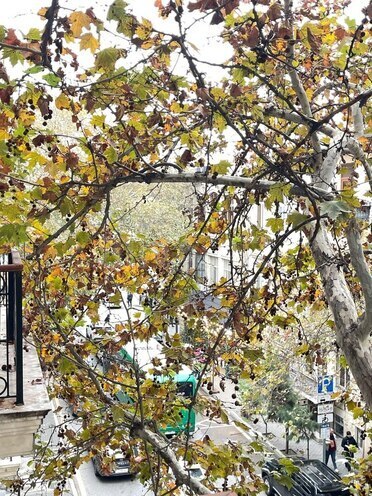 Сдаётся 4-комн. офис 155 м², м. 28 мая, photo 8 from 23