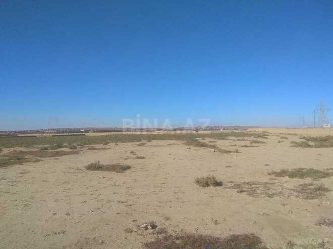 Продаётся  участок 553 сот, пос. Мамедли, photo 11 from 16