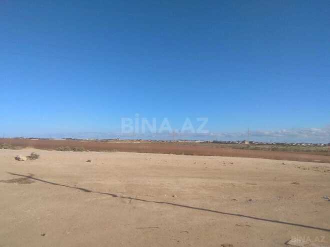 Продаётся  участок 553 сот, пос. Мамедли, photo 6 from 16