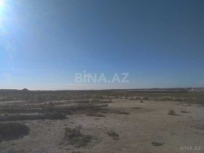 Продаётся  участок 553 сот, пос. Мамедли, photo 3 from 16