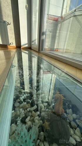 İcarəyə verilir 4 otaqlı yeni tikili 165 m², Elmlər Akademiyası m., photo 14 from 32