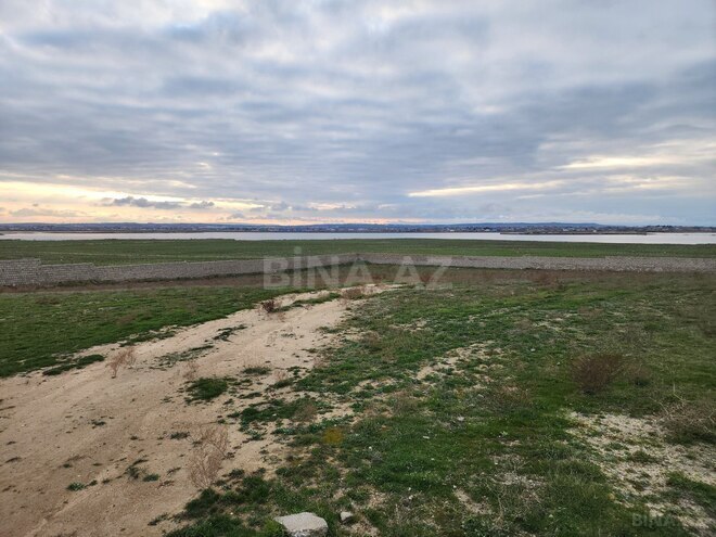 Продаётся  участок 100 сот, пос. Мамедли, photo 16 from 21