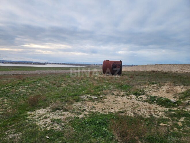 Продаётся  участок 100 сот, пос. Мамедли, photo 20 from 21