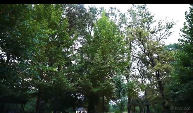 Satılır  torpaq 12 sot, photo 14 from 17