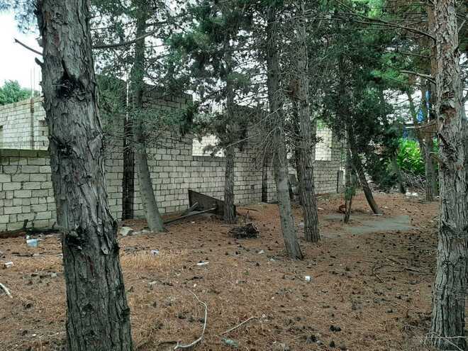 Satılır  torpaq 23 sot, Azadlıq Prospekti m., photo 7 from 14