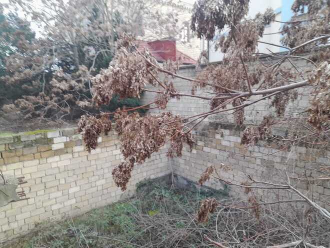 Продаётся  участок 2.5 сот, м. Кара Караев, photo 3 from 9