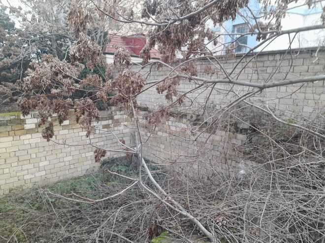 Продаётся  участок 2.5 сот, м. Кара Караев, photo 8 from 9