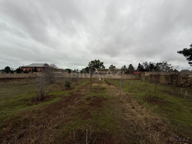 Продаётся  участок 42 сот, пос. Мардакан, photo 7 from 8